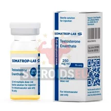 Тестостерон Энантат (Testosterone Enanthate) – Somatrop-Lab – 250 мг/мл / 10 мл